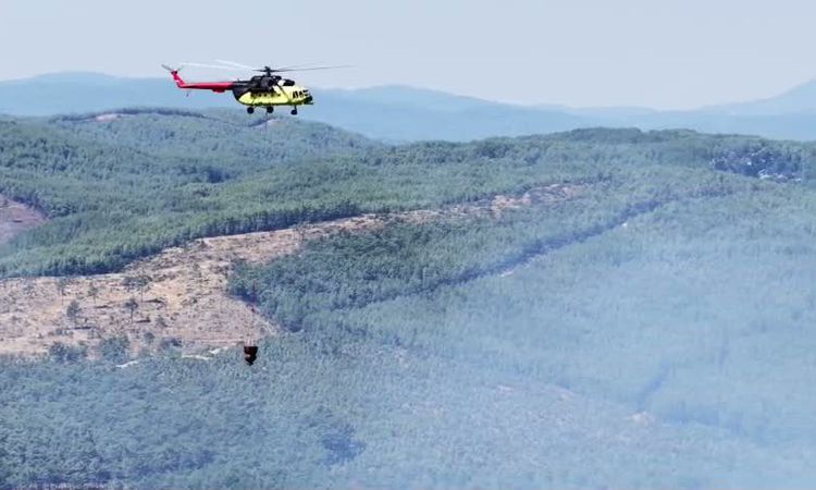Sıcak Gündem: Muğla'da orman yangınının enerjisi büyük oranda düşürüldü ve Merak Edilenler