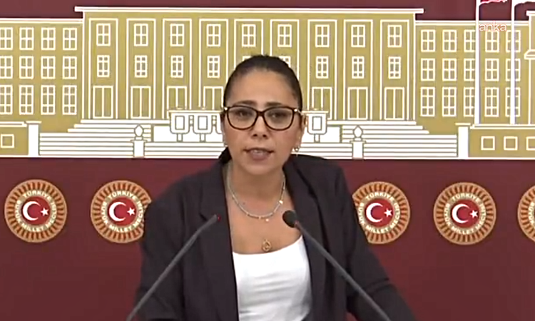 Sıcak Gündem: Sera Kadıgil'den sosyal medya hesaplarına erişim engeli getirilmesine tepki: Muhaliflerini yok e