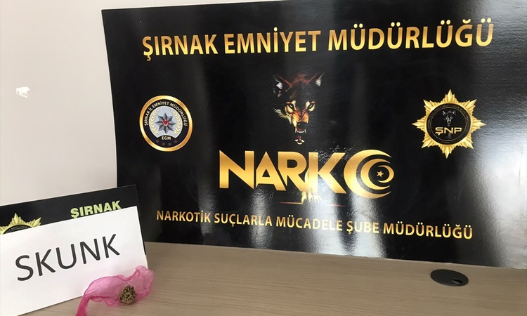 Sıcak Gündem: Şırnak'ta kaçakçılık ve asayiş operasyonlarında 36 şüpheli hakkında işlem yapıldı