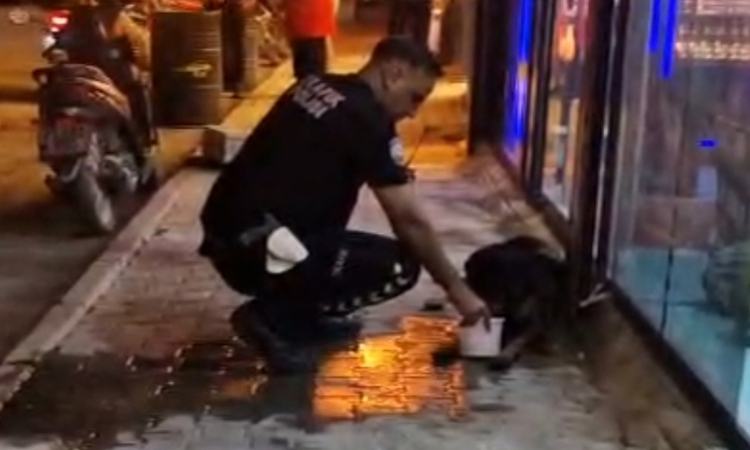Silahla vurularak yaralanan sokak köpeğine polis ekipleri sahip çıktı: Gelişmeler Takip Ediliyor