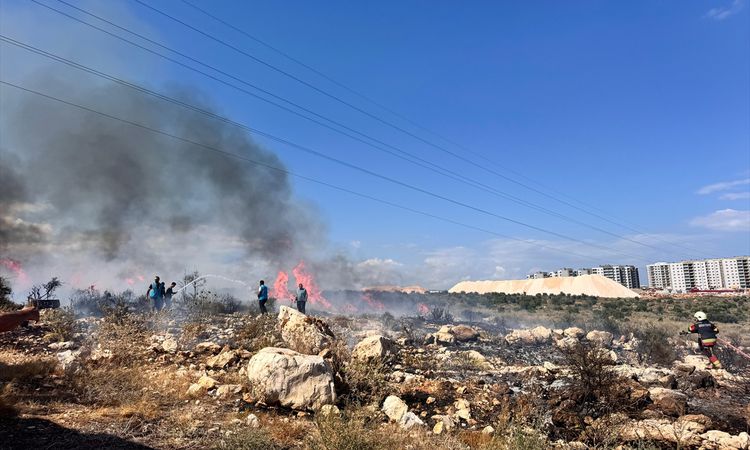 Silifke'de makilik yangın kontrol altında ve Merak Edilenler