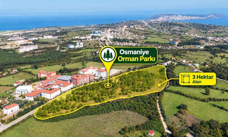Sinop'taki 3 hektarlık Osmaniye Orman Parkı'nda çalışmalar yüzde 70'e ulaştı - Son Dakika Bilgileri