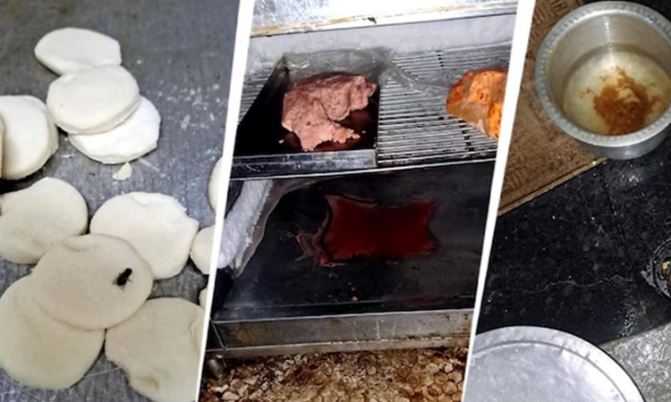 Son Gelişme: 120 yıllık kafede korkunç manzara: Fare dışkısı, hamamböceği... ve Merak Edilenler