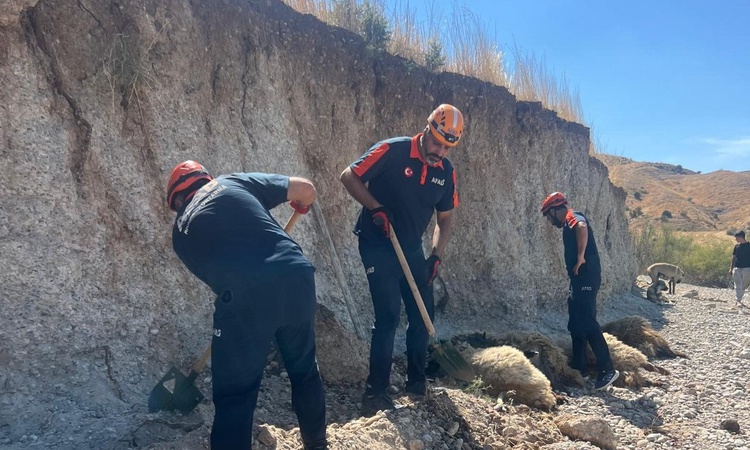 Son Gelişme: Adıyaman Kahta'da toprak kayması 6 küçükbaş hayvanı telef etti, AFAD 3'ünü kurtardı: Gelişmeler T