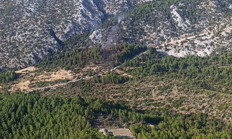 Son Gelişme: Akseki'de Orman Yangını 3 Saatte Kontrol Altına Alındı ve Merak Edilenler