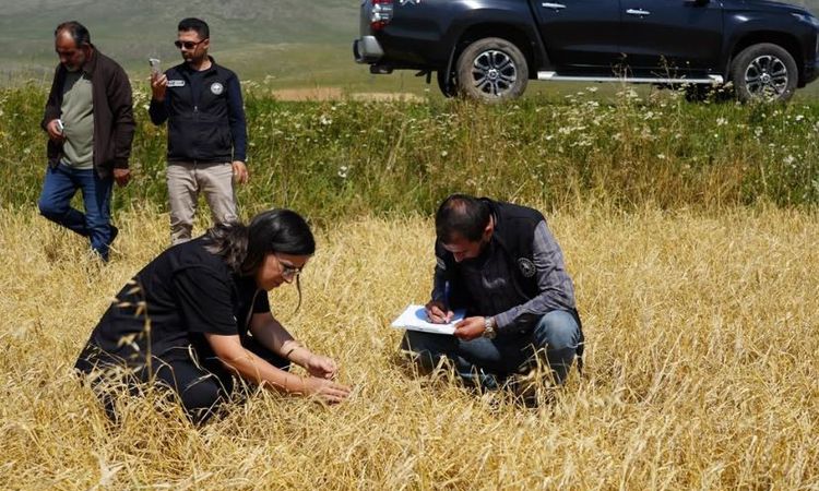 Son Gelişme: Aşırı yağış ve dolu nedeniyle zarar gören arazilerde hasar tespiti yapıldı: Gelişmeler Takip Edil
