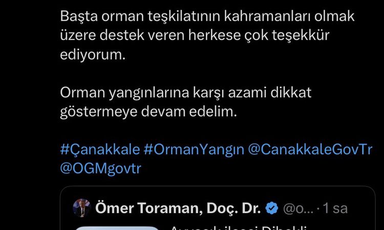 Son Gelişme: Ayvacık'ta Yangın Kontrol Altında ve Merak Edilenler