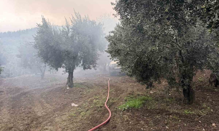Son Gelişme: Balıkesir Erdek'te zeytinlikteki tek katlı evde çıkan yangına itfaiye müdahale etti ve Merak Edil