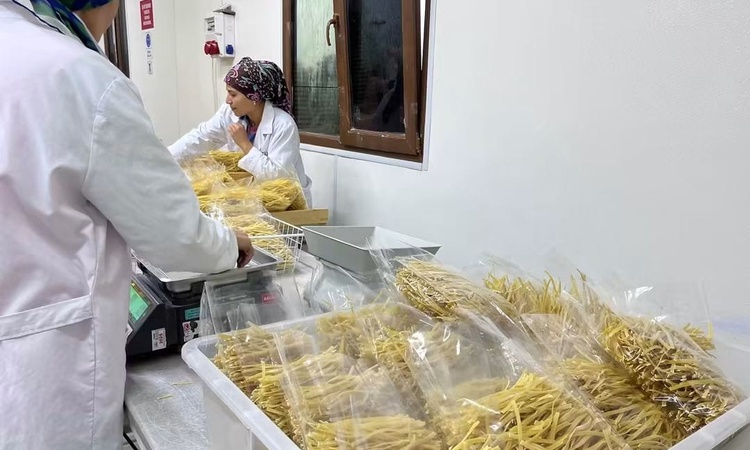 Son Gelişme: Balıkesir İl Tarım Müdürü Düzgün, Manyas Kulak'ta makarna işletmesini inceledi
