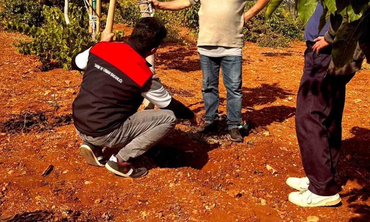 Son Gelişme: Bekilli'de üreticilere uygulamalı toprak numunesi alma eğitimi verildi - Son Dakika Bilgileri