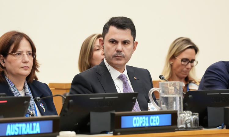 Son Gelişme: Bridge'in ilk pilot ülkeleri Etiyopya, Fiji, Endonezya, Pakistan ve Özbekistan oldu ve Merak Edil