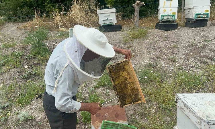 Son Gelişme: Bursa'da 75 yaşındaki Hayrettin Kurtçu, 20 yıldır Avrupa'ya bal gönderiyor