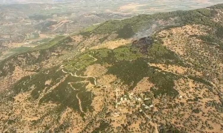 Son Gelişme: Çine'de orman yangını 2 saatte kontrol altına alındı - Son Dakika Bilgileri