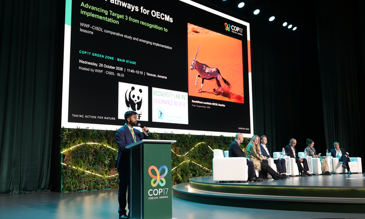 Son Gelişme: COP17 Erivan'da sona erdi, 2030 için 23 biyoçeşitlilik hedefinde ilerleme sağlanamadı