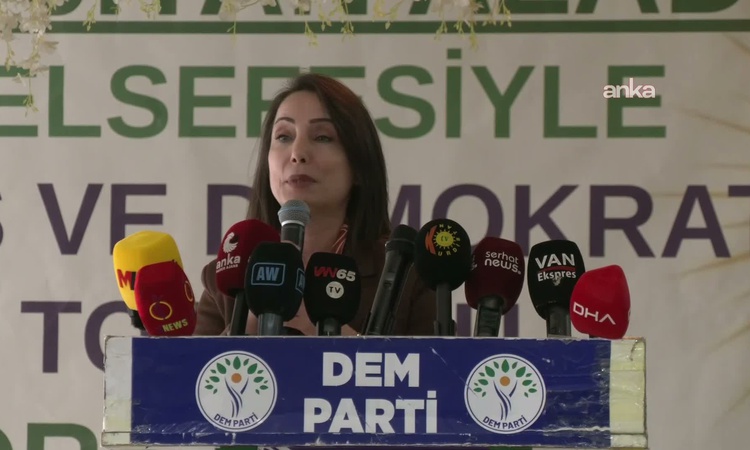 Son Gelişme: DEM Parti Eş Genel Başkanı Hatimoğulları Van'da çerçeve yasa çağrısı yaptı ve Merak Edilenler