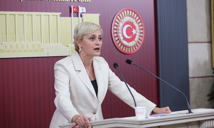 Son Gelişme: DEM Partili Koca, Sincan Cezaevi'nde tutuklu Kaos GL yöneticileri için tahliye istedi ve Merak Ed