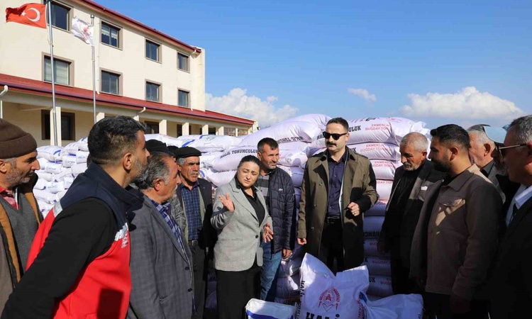 Son Gelişme: Doğubayazıt'ta çiftçilere 20 ton buğday tohumu yüzde 70 hibeyle verildi: Gelişmeler Takip Ediliyo