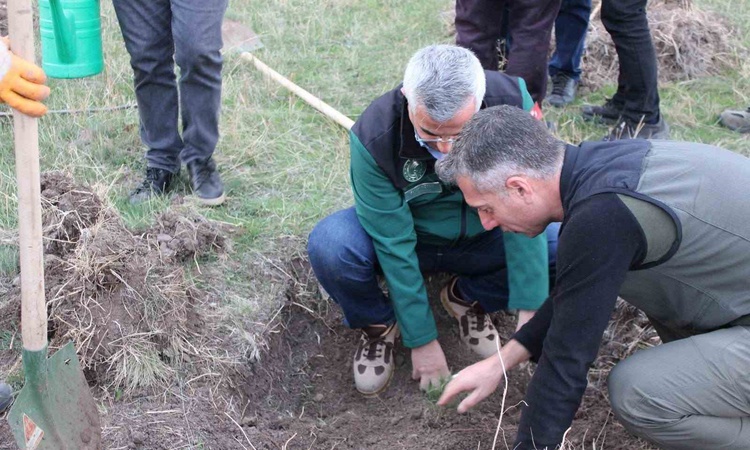 Son Gelişme: DSİ 24. Bölge Müdürlüğü ile Erzurum Orman Bölge Müdürlüğü fidan dikimine resmen start aldı - Son