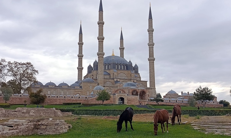 Son Gelişme: Edirne'de Selimiye Meydanı'nda otlayan 3 at belediye ekiplerince uzaklaştırıldı: Gelişmeler Takip