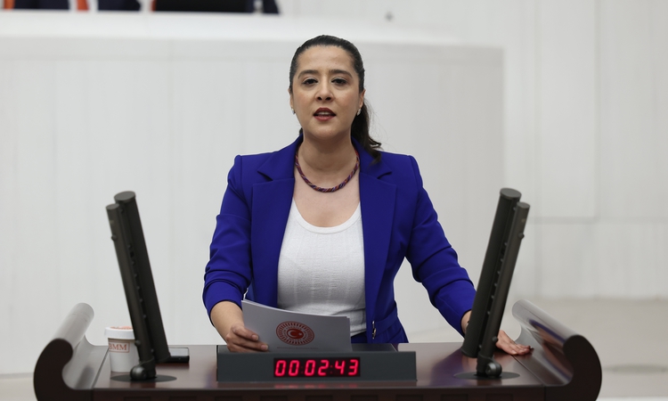 Son Gelişme: EMEP'li Karaca, 16 yaşındaki mülteci çocuk işçinin ölümünü Bakan Işıkhan'a sordu: Gelişmeler Taki