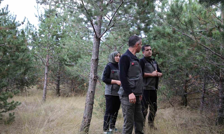 Son Gelişme: Erzurum Orman Bölge Müdürü, Kars'ta Millet Ormanı için incelemelerde bulundu: Gelişmeler Takip Ed