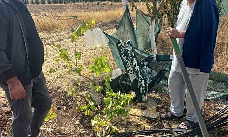Son Gelişme: Eskişehir'de bahçe tellerine zarar veren şüphelilerin bulunması isteniyor ve Merak Edilenler