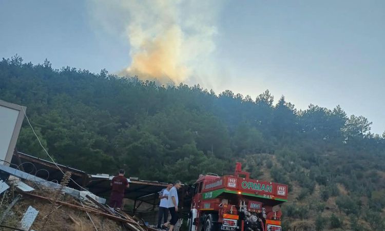 Son Gelişme: Hassa'da Orman Yangını Kontrol Altına Alındı ve Merak Edilenler