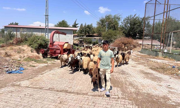 Son Gelişme: Hatay'da Suriyeli Çobanın Zorlu Yaşam Mücadelesi | İşte Tüm Ayrıntılar