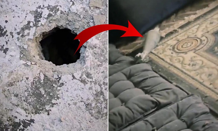 Son Gelişme: Husiler'in ateşlediği havan mermisi, bir evin duvarını delerek içeri gerileme kaydetti ve Merak E