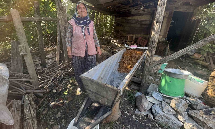 Son Gelişme: İbradı'da 77 yaşındaki Fatma Yamansoy pekmez sezonunu en son tamamlıyor