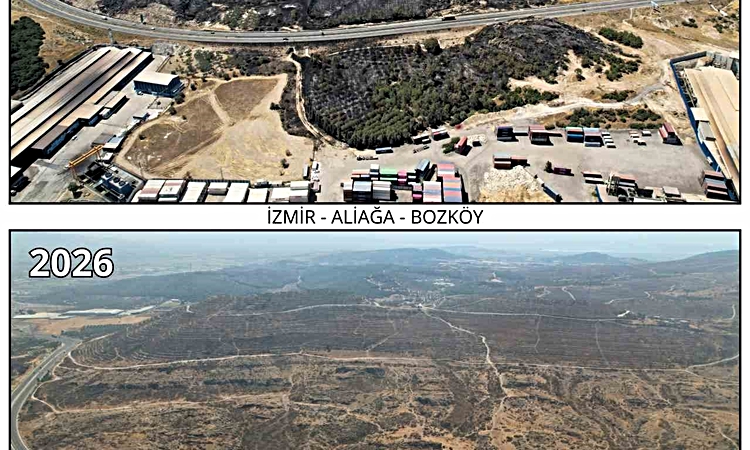 Son Gelişme: İzmir’de yanan ormanlar yeniden fidanla buluşuyor | İşte Tüm Ayrıntılar