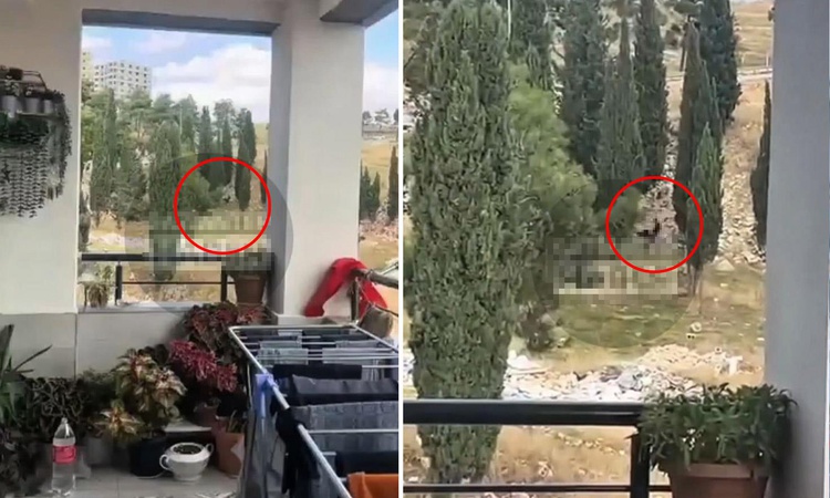 Son Gelişme: Bir ilimiz bu olayı konuşuyor! Güpegüngüz cinsel ilişkiye girdiler ve Merak Edilenler