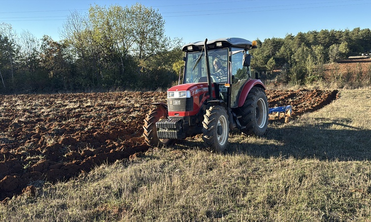 Son Gelişme: Karabük'te 2025-2026'da 193 bin dekara hububat, 66 bin dekara yem bitkisi ekildi | İşte Tüm Ayrın