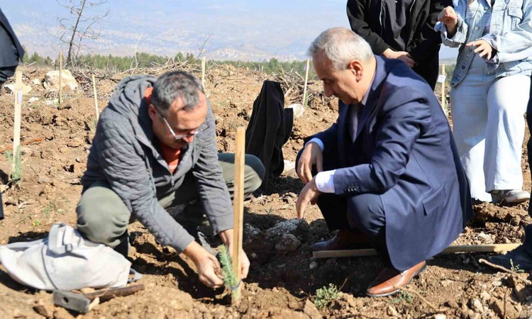 Son Gelişme: Karabük'te ErasmusDays etkinliğinde 250 fidanlık ağaçlandırma yapıldı - Son Dakika Bilgileri