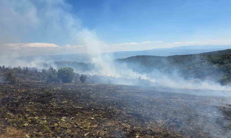 Son Gelişme: Kastamonu’da çıkan orman yangını kontrol altına alındı | İşte Tüm Ayrıntılar