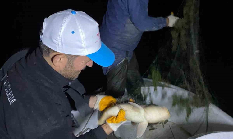 Son Gelişme: Kovada Gölü’nde kaçak avcılığa gece denetimi: Gelişmeler Takip Ediliyor