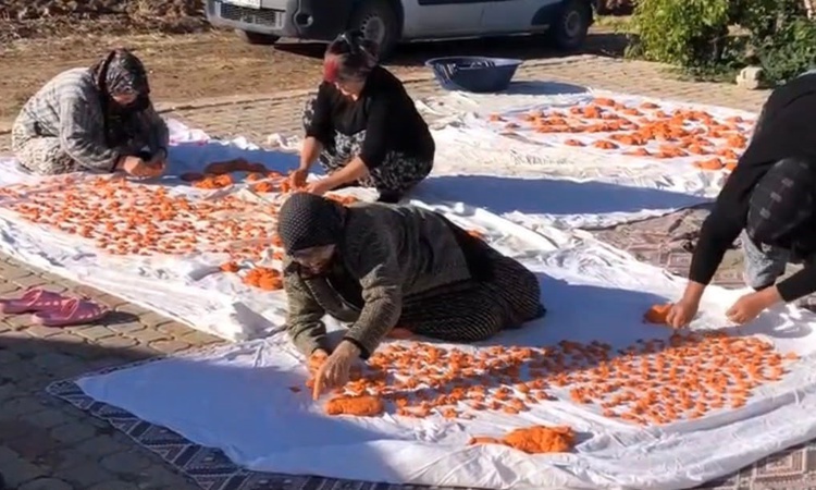 Son Gelişme: Kütahya Tavşanlı Kuruçay'da kadınlar imece usulüyle tarhana hazırladı ve Merak Edilenler