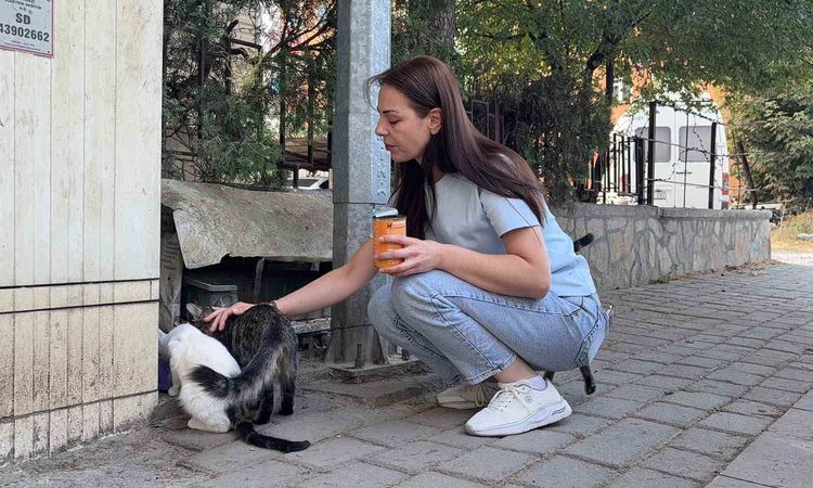 Son Gelişme: Kütahya'da vahşet: Sokak kedisi başı ve ayakları kesilmiş halde bulundu - Son Dakika Bilgileri