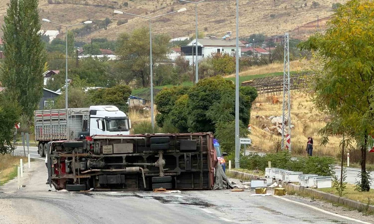 Son Gelişme: Malatya-Adıyaman yolunda devrilen arı yüklü kamyonda 2 kişi yaralandı
