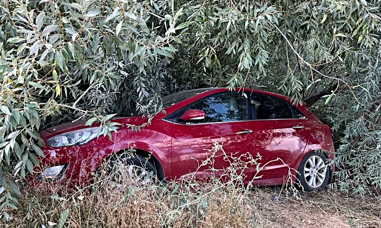 Son Gelişme: Malatya’da otomobil şarampole devrildi: 1 yaralı | İşte Tüm Ayrıntılar