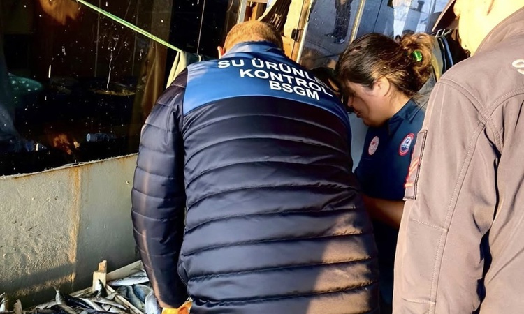 Son Gelişme: Mersin'de yasa dışı avcılığa karşı denetimler balıkçı barınaklarında sürüyor: Gelişmeler Takip Ed
