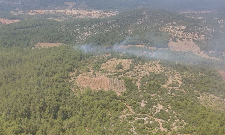 Son Gelişme: Muğla'da orman yangını kontrol altına alındı ve Merak Edilenler