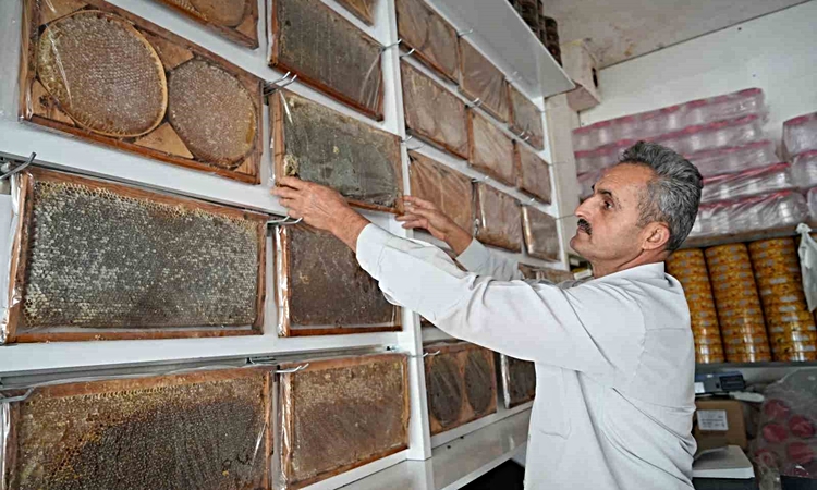Son Gelişme: Muş Ovası'nda 710 arıcı, 290 bin kovandan yaklaşık 700 ton bal hasadı yaptı - Son Dakika Bilgiler