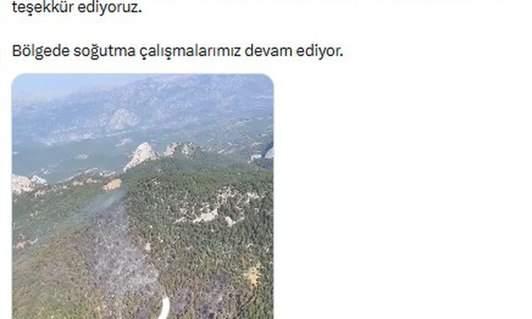 Son Gelişme: OGM: Manavgat'taki yangın kontrol altına alındı