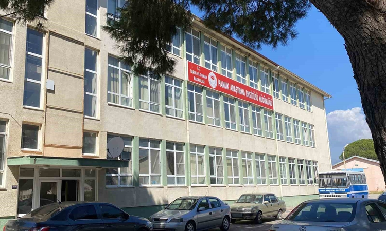 Son Gelişme: Pamuk Araştırma Enstitüsü’ndeki rüşvet iddiasına operasyon ve Merak Edilenler