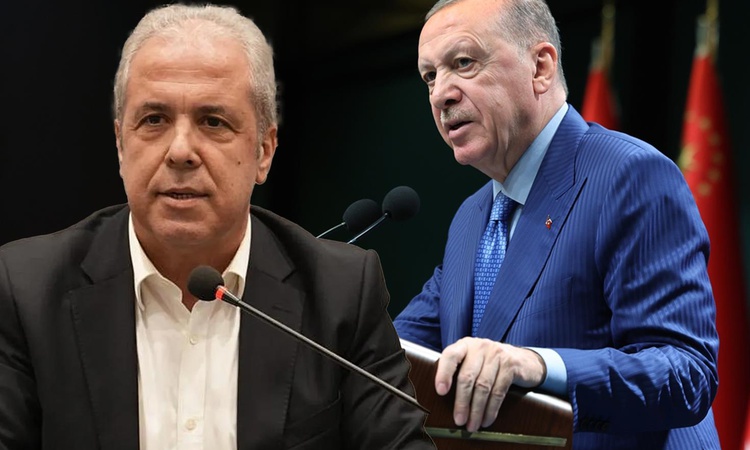 Son Gelişme: Şamil Tayyar'dan yeni istifaların sinyalini verdi: Erdoğan da korumaz, uzatmayın ve Merak Edilenl