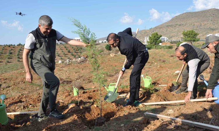 Son Gelişme: Silifke’de Şehit Savcı Mehmet Selim Kiraz Hatıra Ormanı yeniden yeşilleniyor