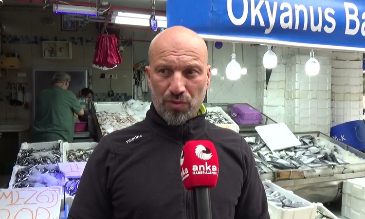 Son Gelişme: Sinop'ta balıkçılar 25 günde bol palamut tuttu ancak gelir masrafları karşılamıyor: Gelişmeler Ta