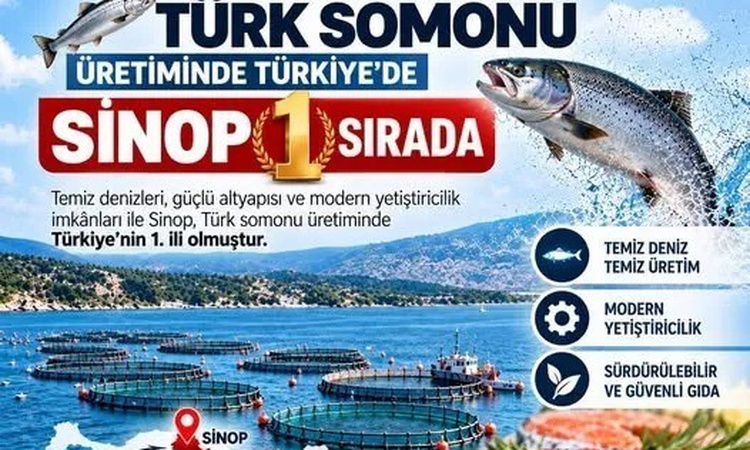 Son Gelişme: Sinop, Türk somonu üretiminde Türkiye'de ilk sırada yer alıyor ve Merak Edilenler
