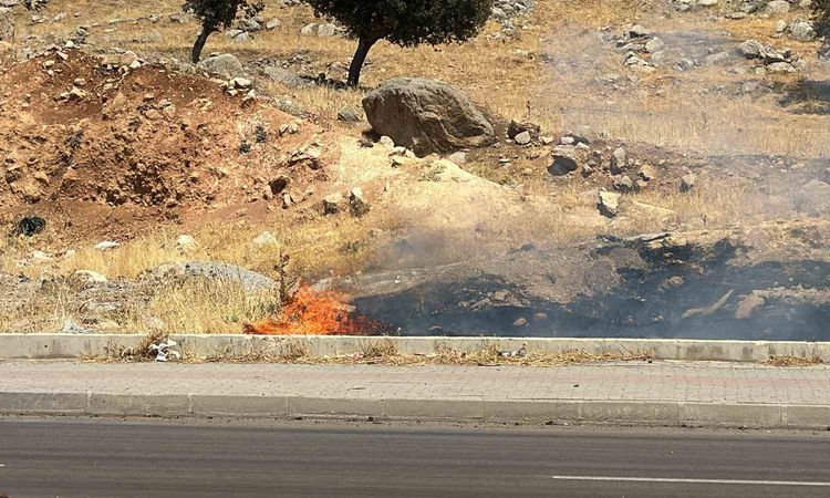 Son Gelişme: Şırnak'ta örtü yangını kontrol altına alındı ve Merak Edilenler